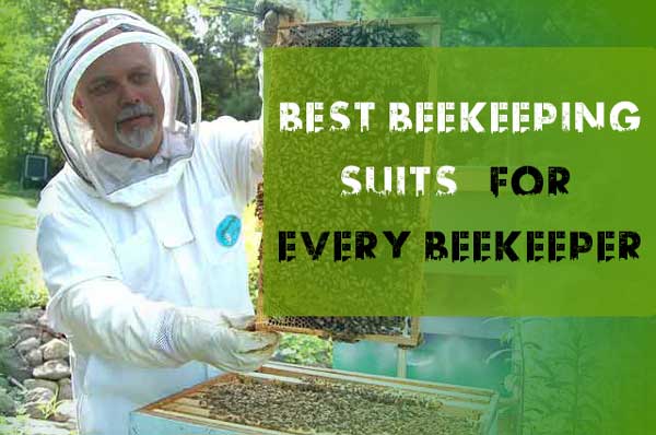 Best Beekeeping Suits