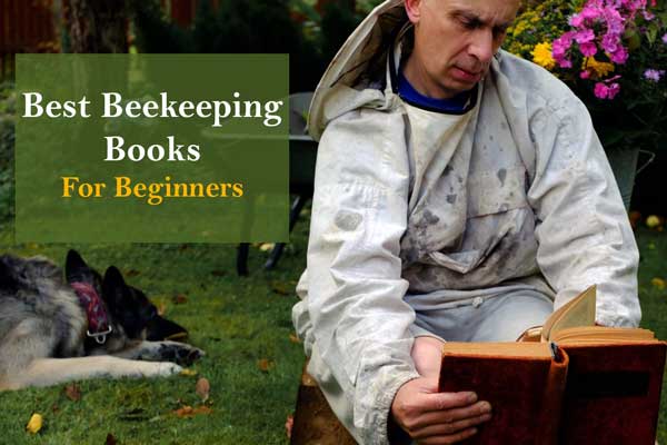 Top 10 Best Beekeeping Books for Beginners