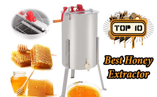 Best Honey Extractor Reviews for The Money – Ultimate Guide