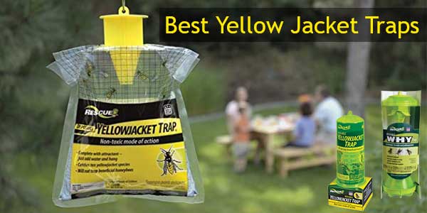 Top 10 Best Yellow Jacket Trap Reviews For The Money