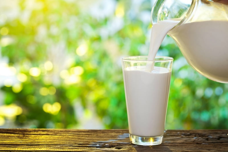 carrageenan in milk