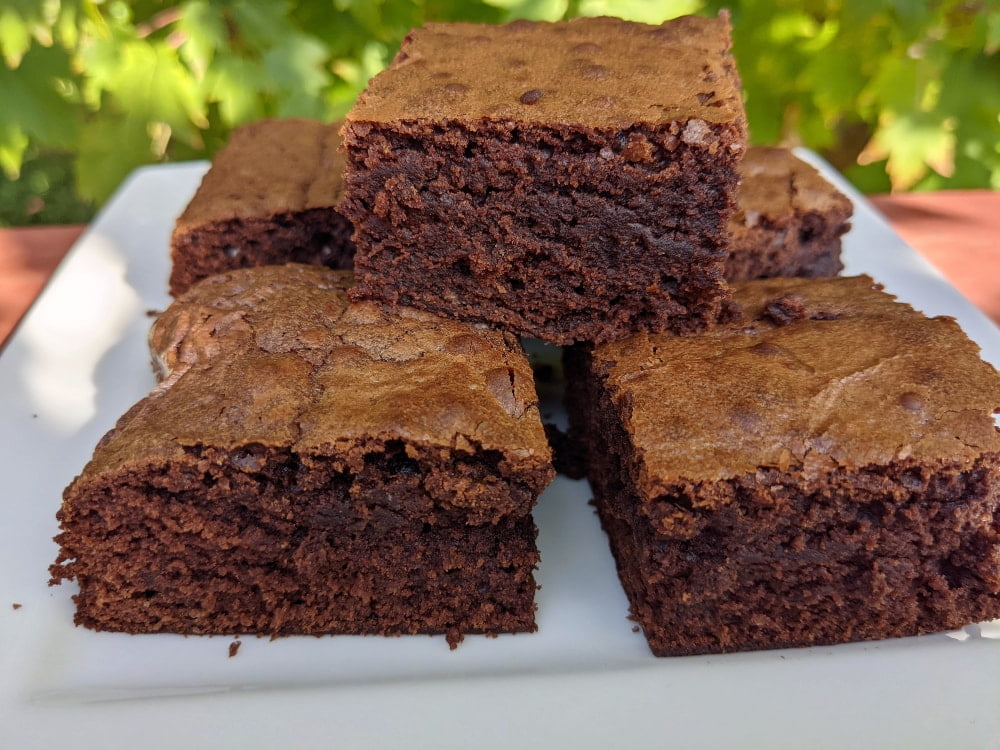 chocolate brownies made with sourdough starter