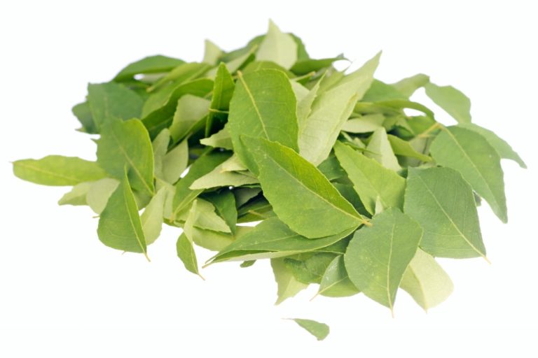 Curry Leaves Substitute