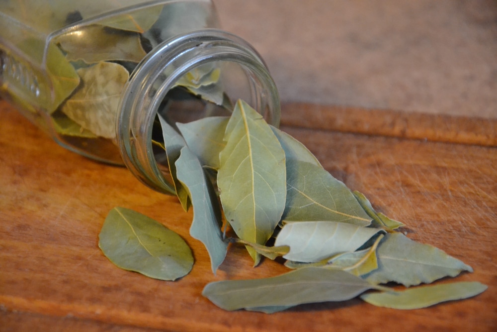 curry leaves substitute bay leaves