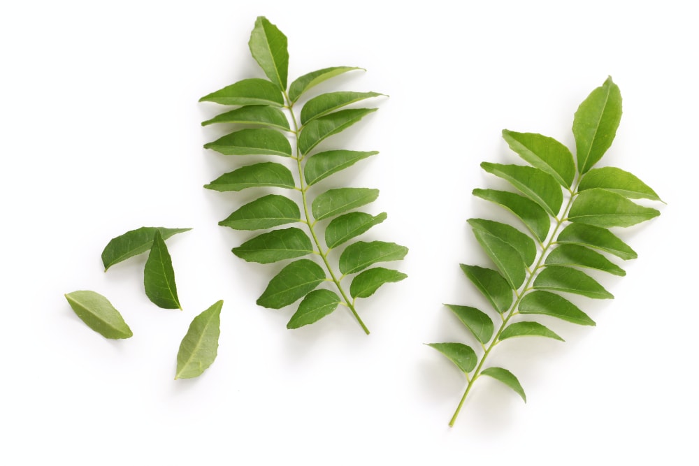 replacement for curry leaves