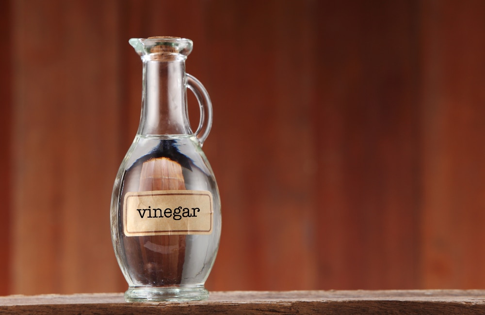 whole grain mustard substitute vinegar